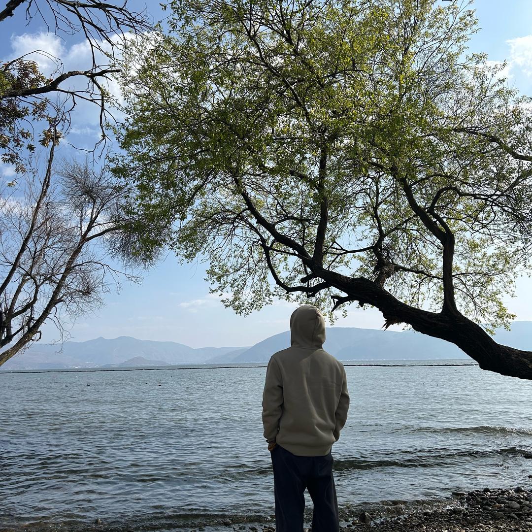 一只爱拍照的狗子