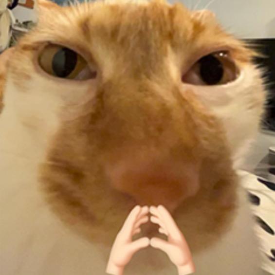 拜见林林七大王