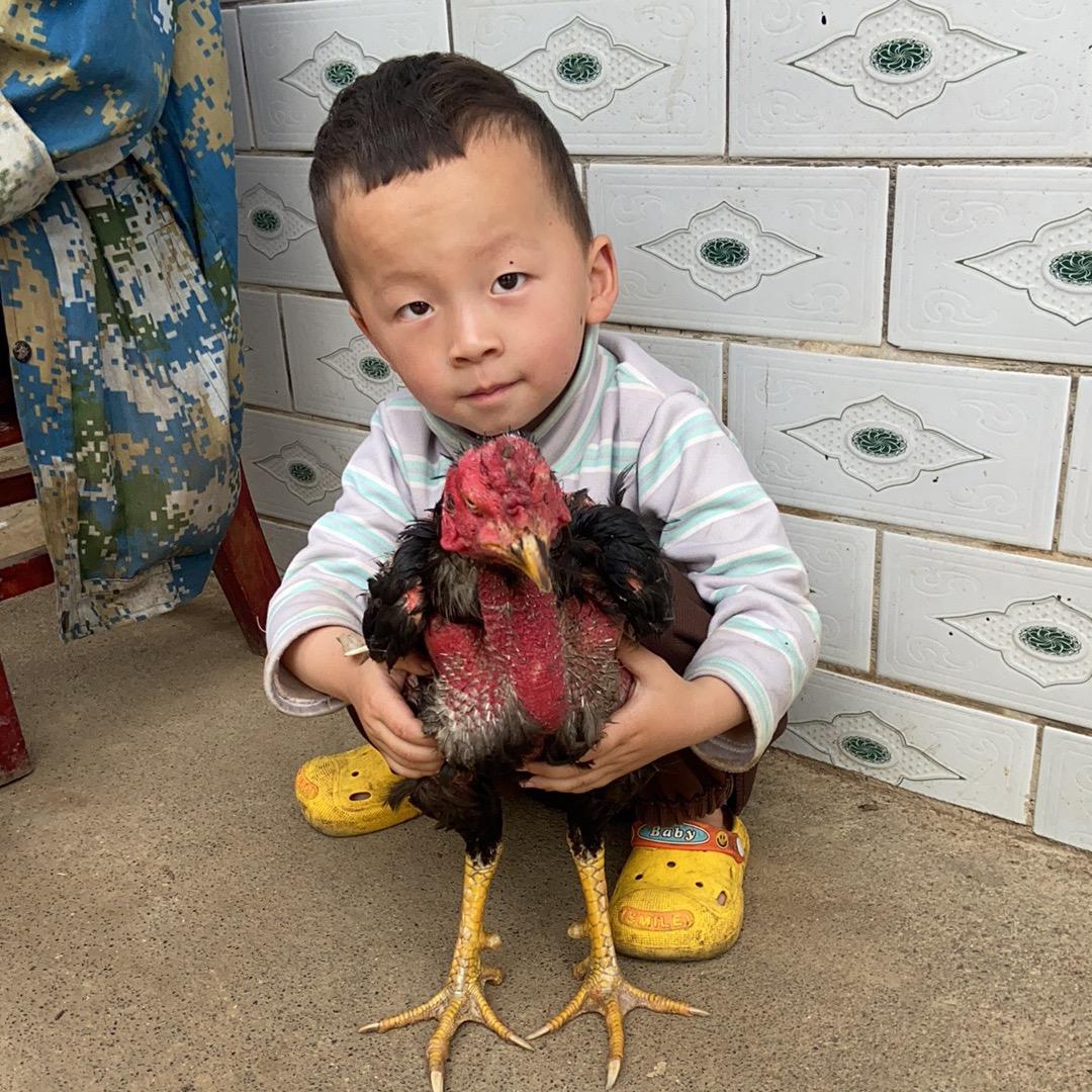 我是土炮小刚哥。