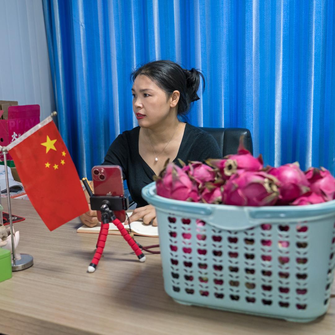 襄阳火龙果燕子