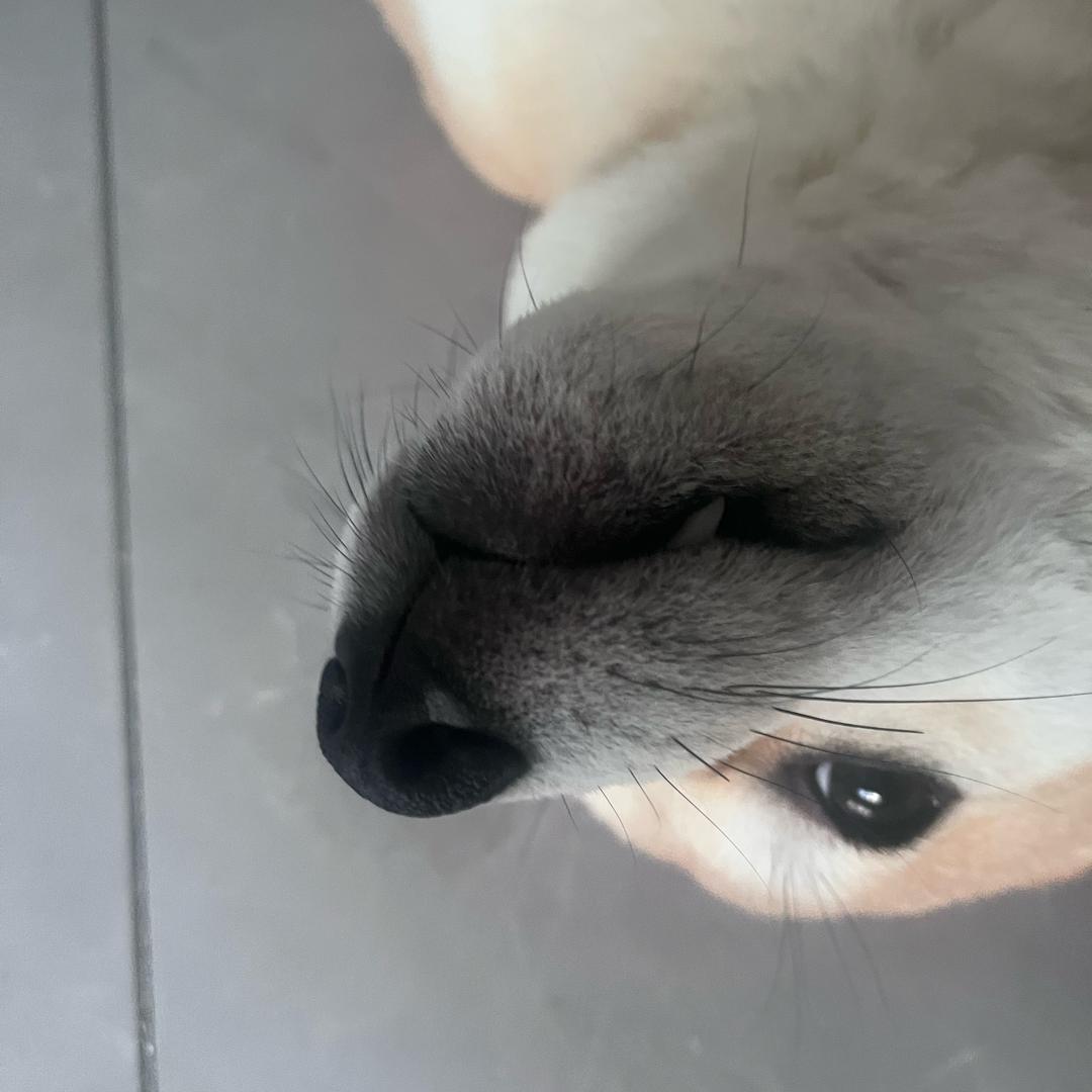 杂货铺
