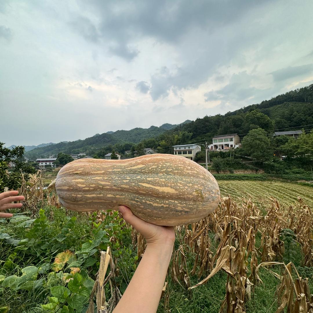 怡直向前
