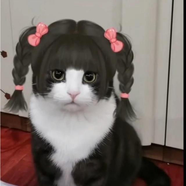 星源二手车批发