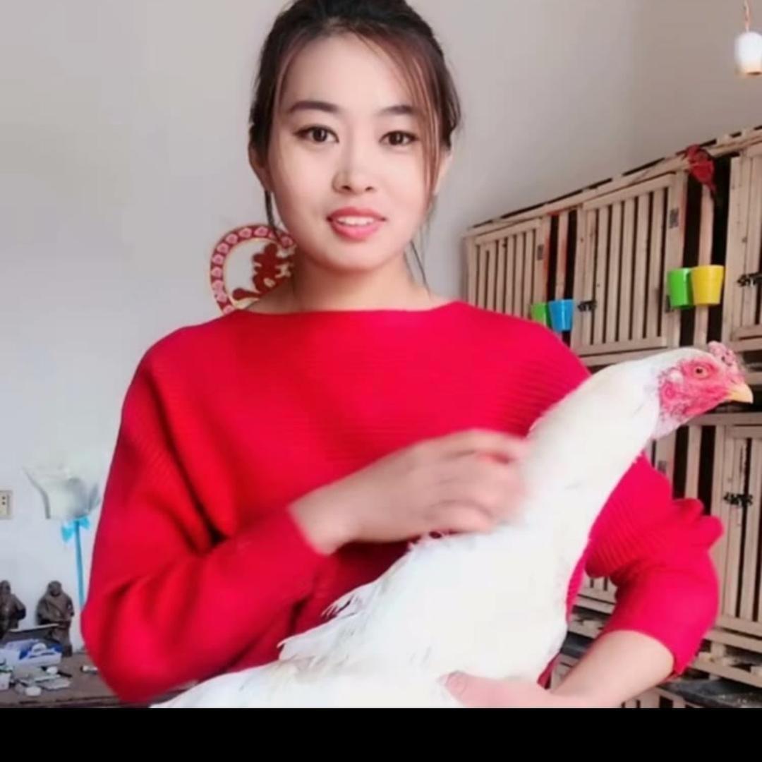 嘉祥县浩博珍禽养殖场官方账号