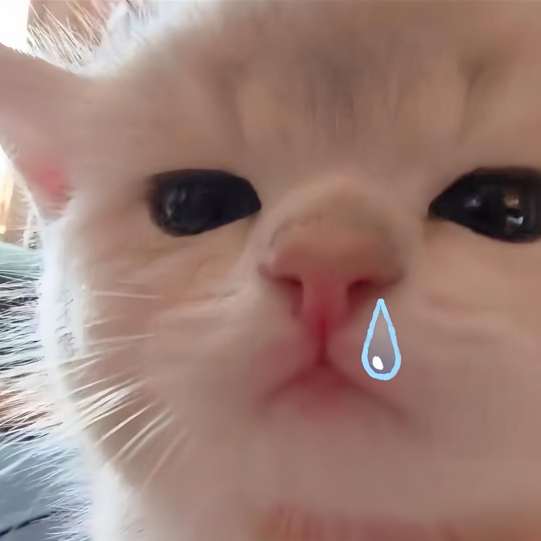 小雨转晴