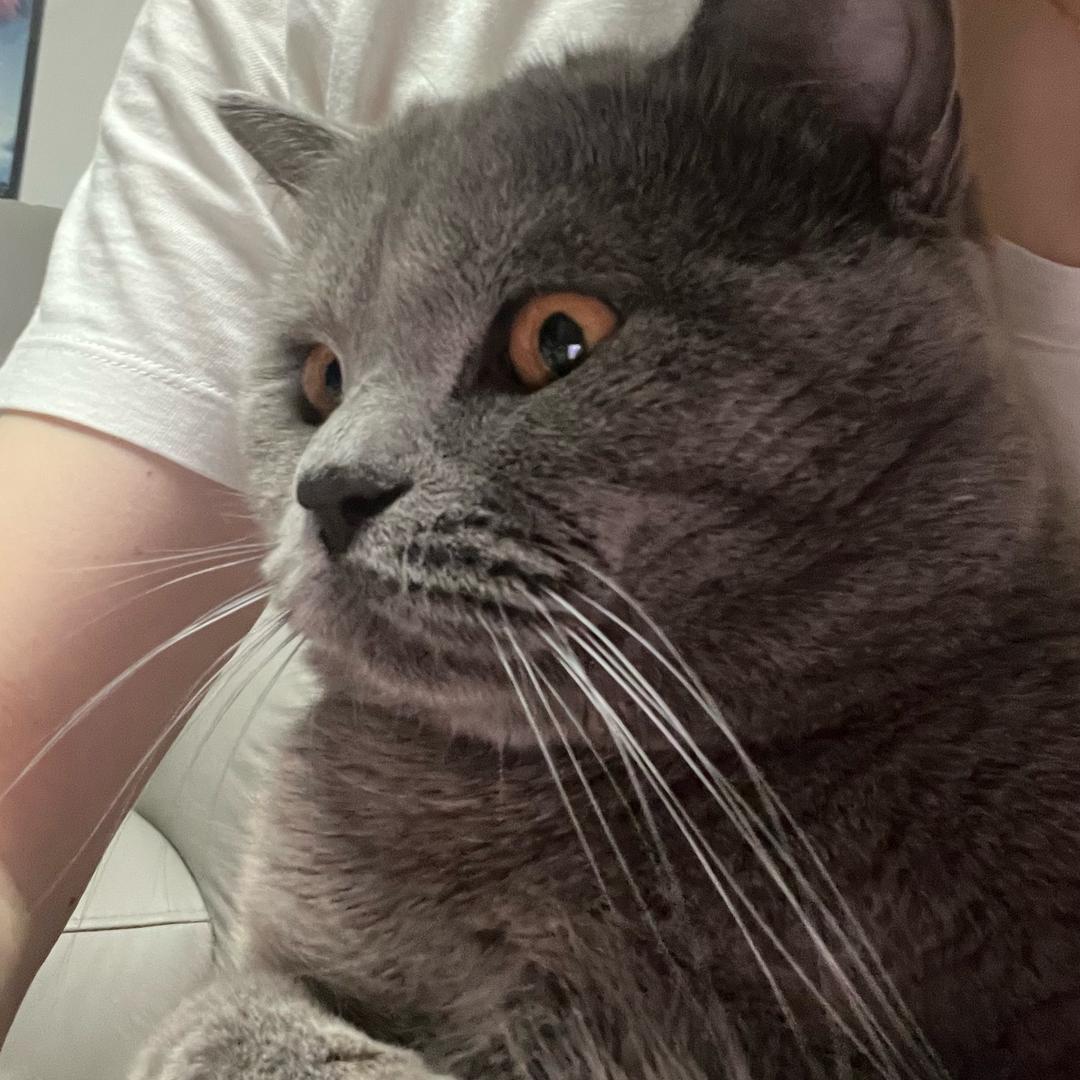 一个人的幸福感