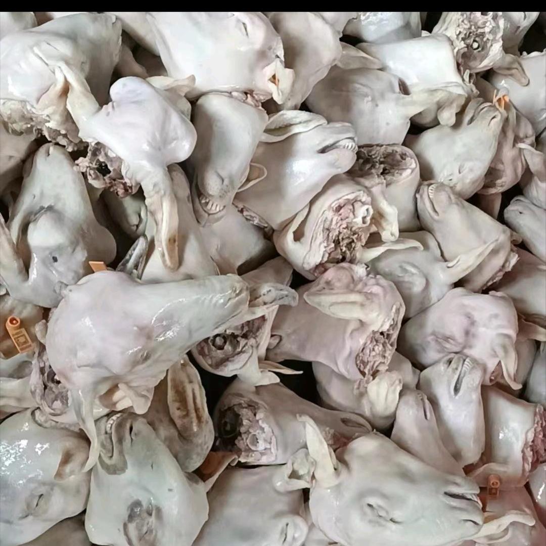 羊副产品批发