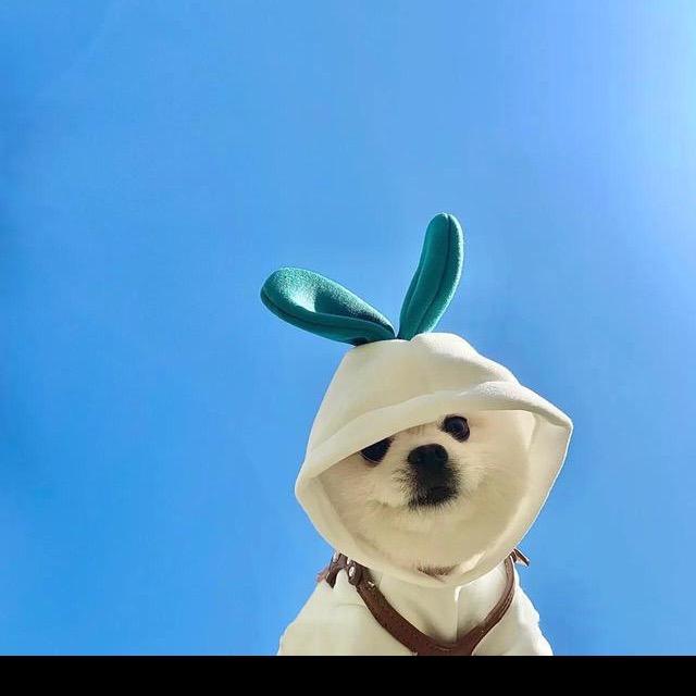 牛奶咖啡💫