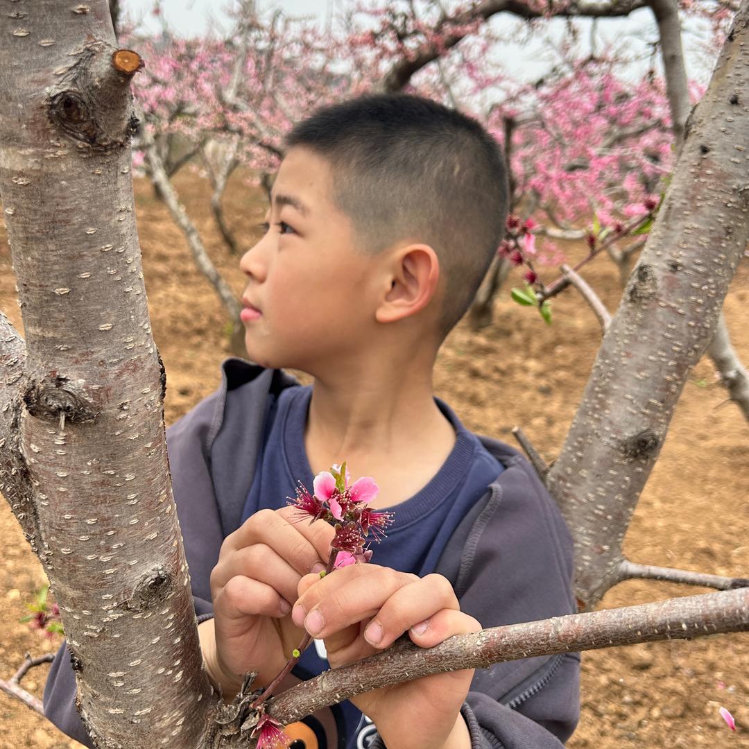 🍊子程同学