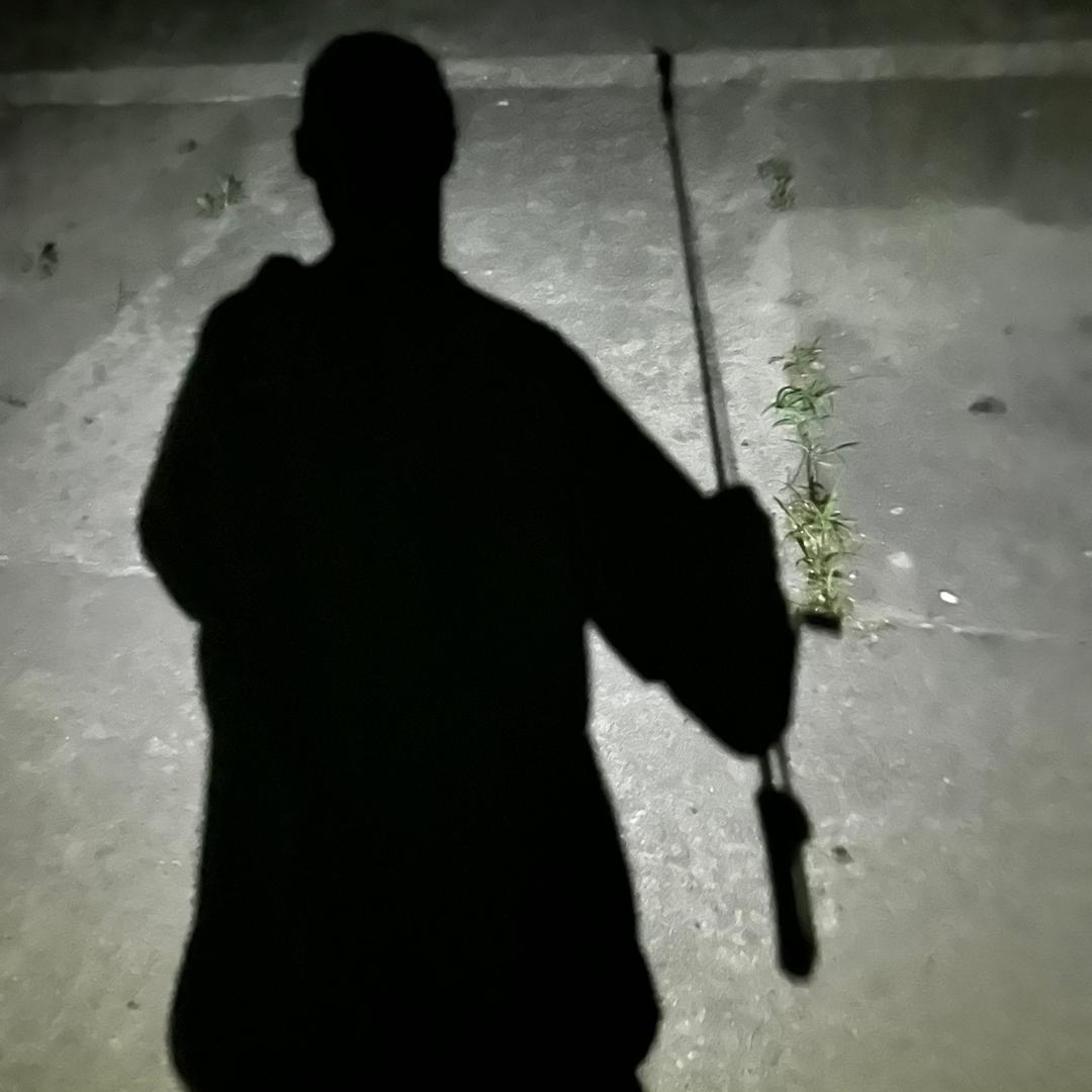 野猪🐗品不了细糠