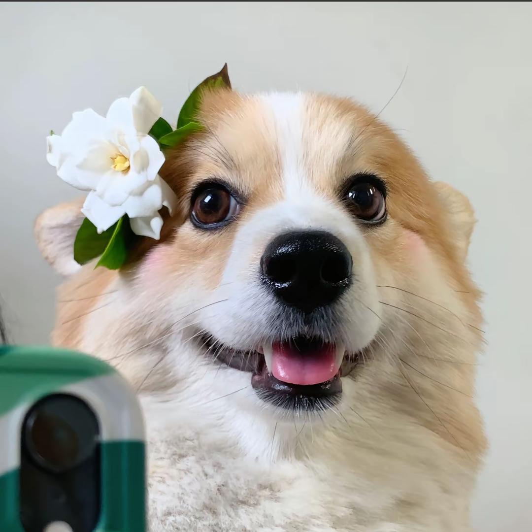 涂·指甲盖儿官方号