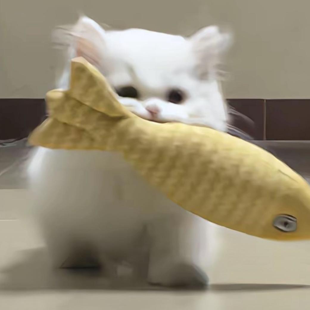 好困嘟.
