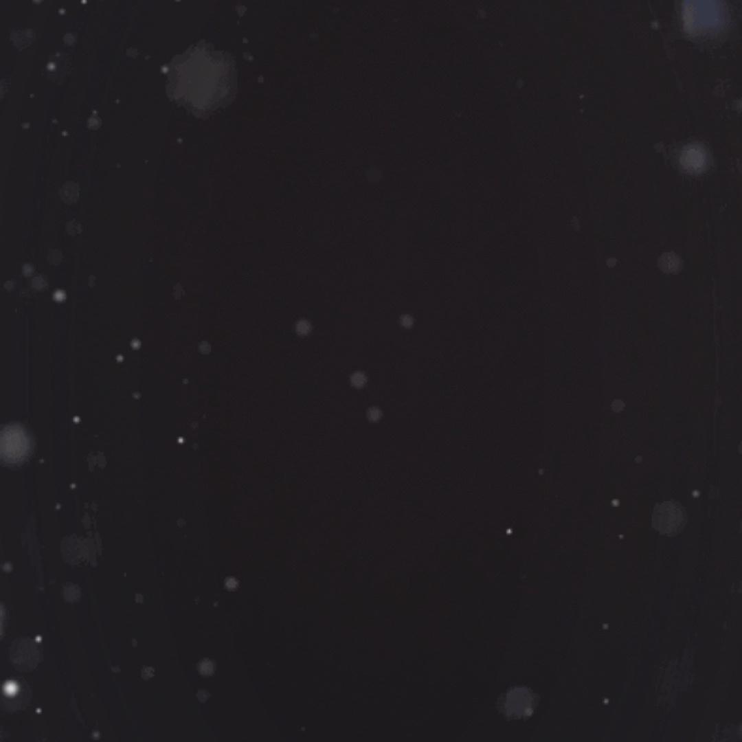 柯桥童装苑