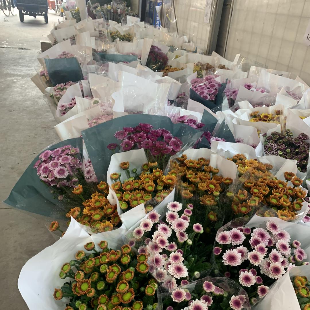 卡卡辰通文创小铺