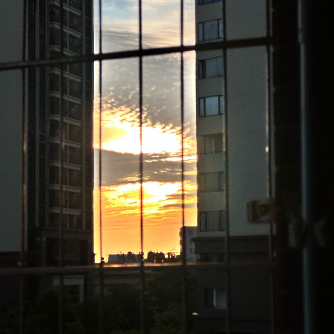 🌈  Fᴿᴵᴰᴬʸ