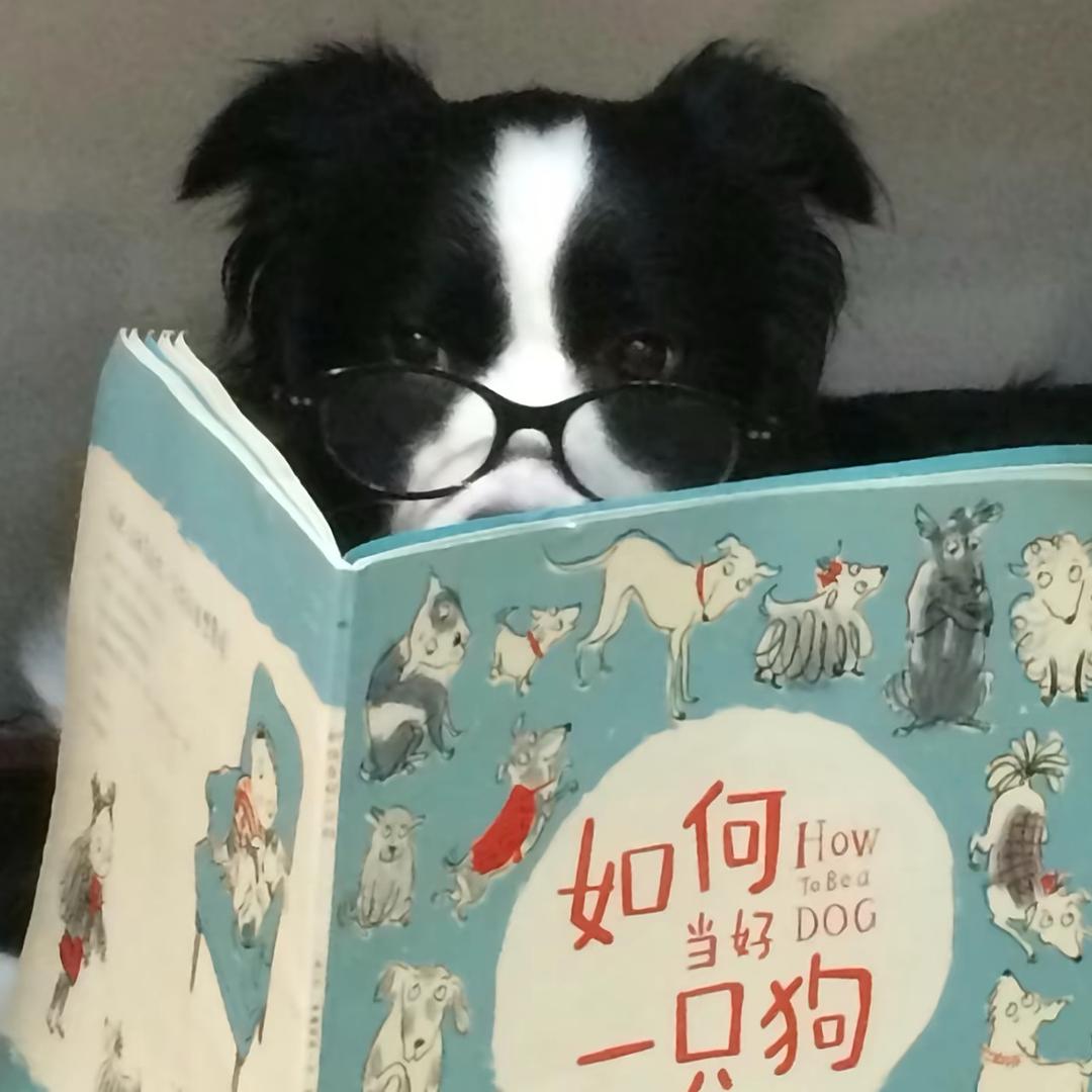 小蕾不累