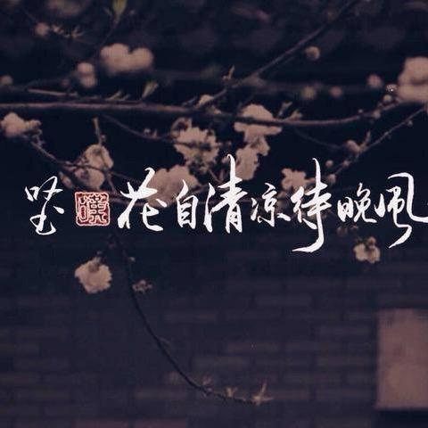 没名字就是最好的名字