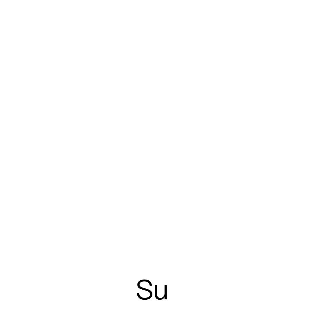 Xiang Su