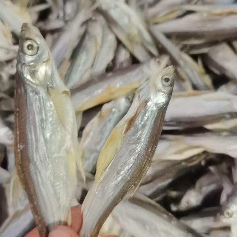 精品极品野刁子鱼干
