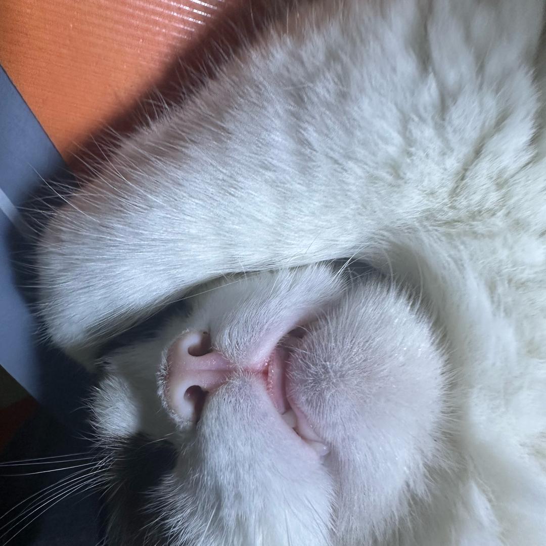 eleven🧊💦🌊💧