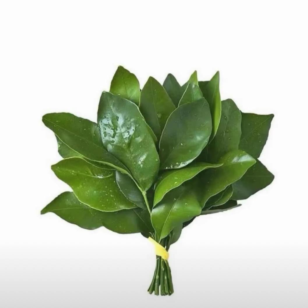 富贵小豆子