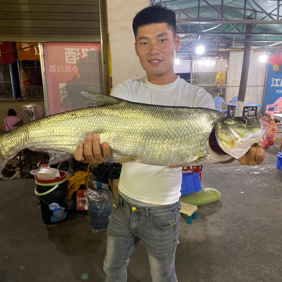追风.
