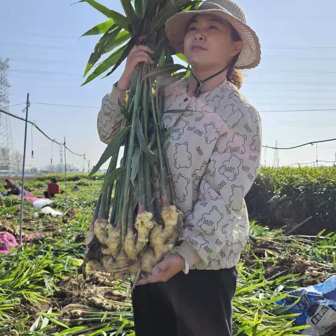 上官云农鲜优选（姐姐)
