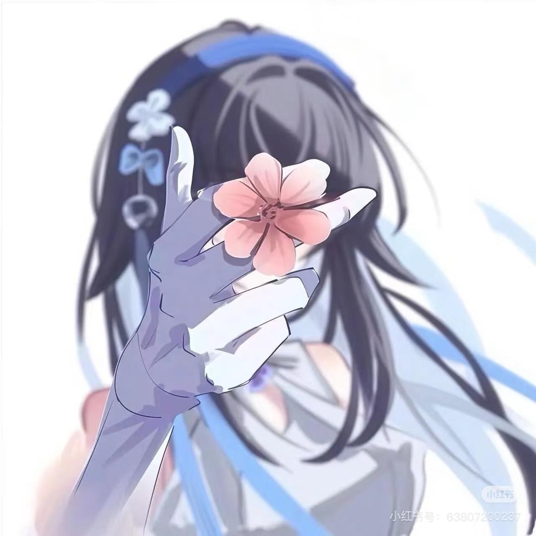 塞子Pro