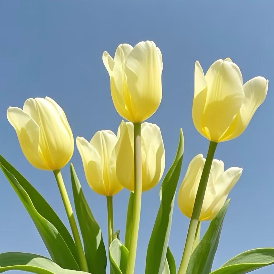 春浔花鉴