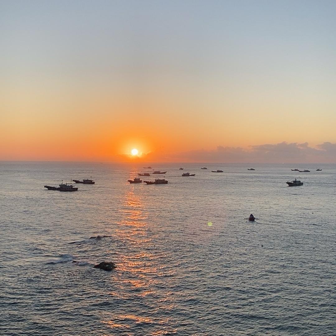 追着太阳跑☀️🥔