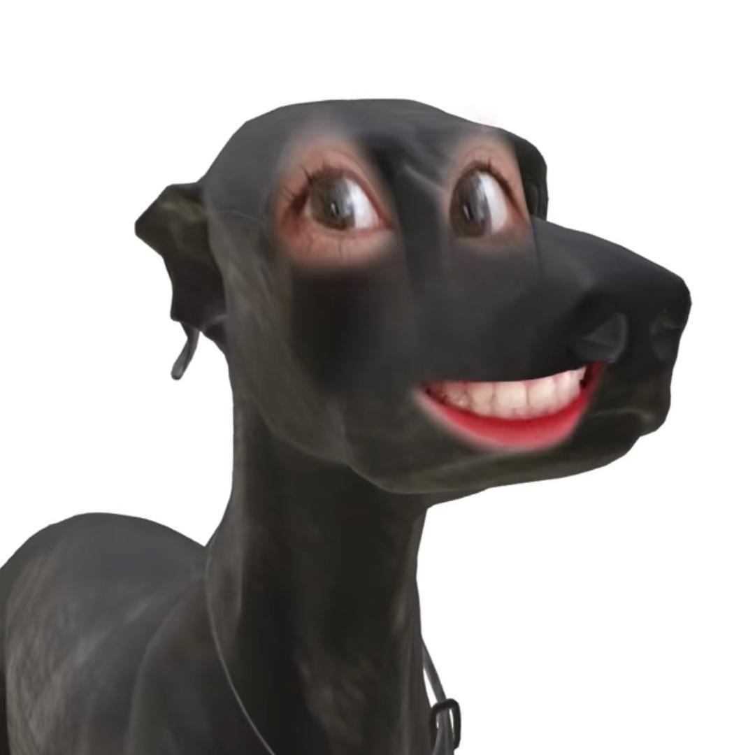 拆卡小金团2（已老实版）