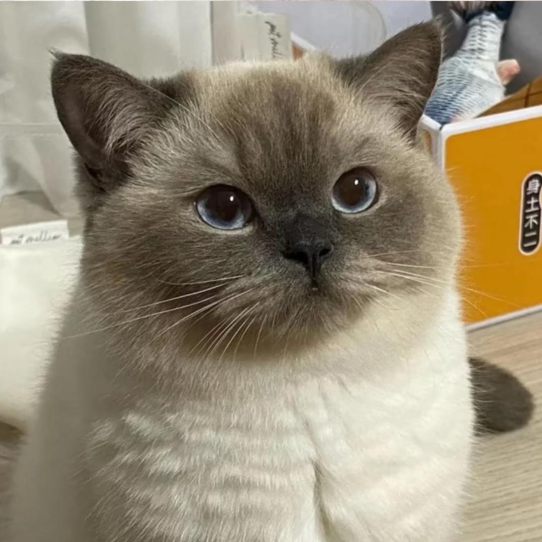 鱼豆腐汤