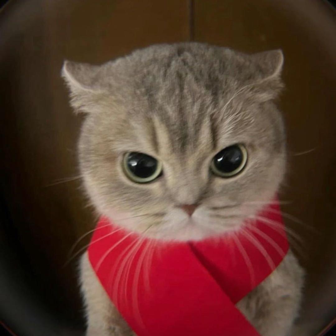 小猫神