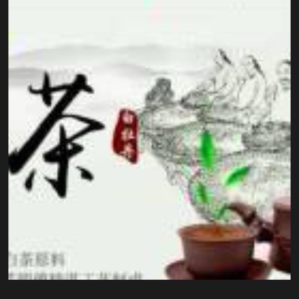 岳西班竹岭茶厂陈小华