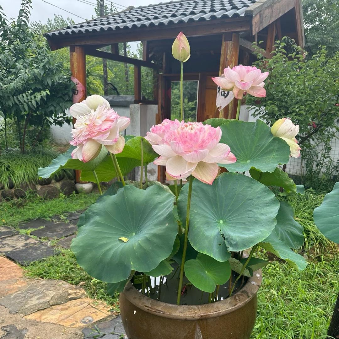 荷城宝阿宝精选百货