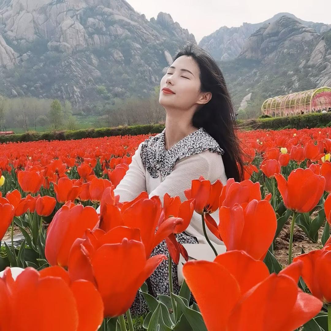 小李家自用推荐