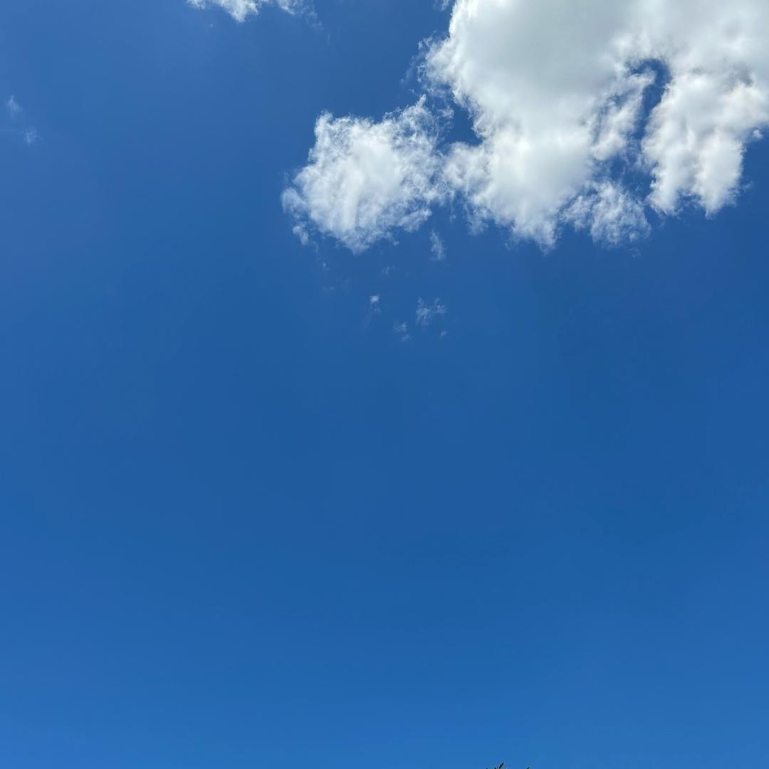 婷婷婷止止步不前