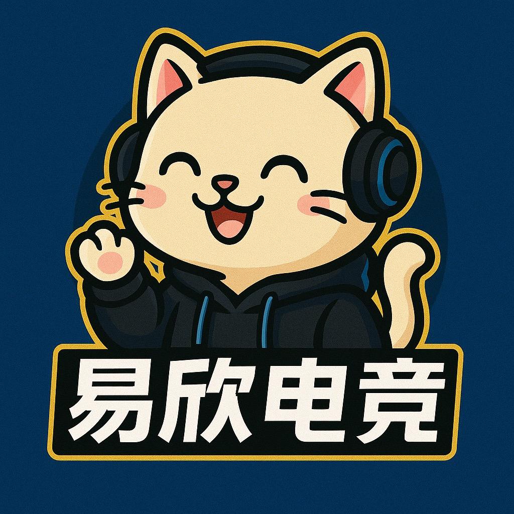 易欣网络