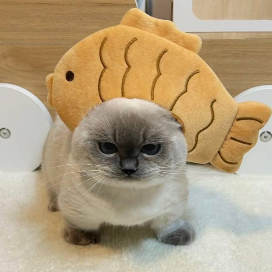 小土豆🥔
