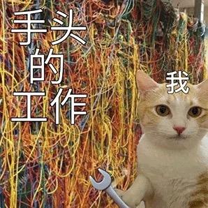 天才少年批发