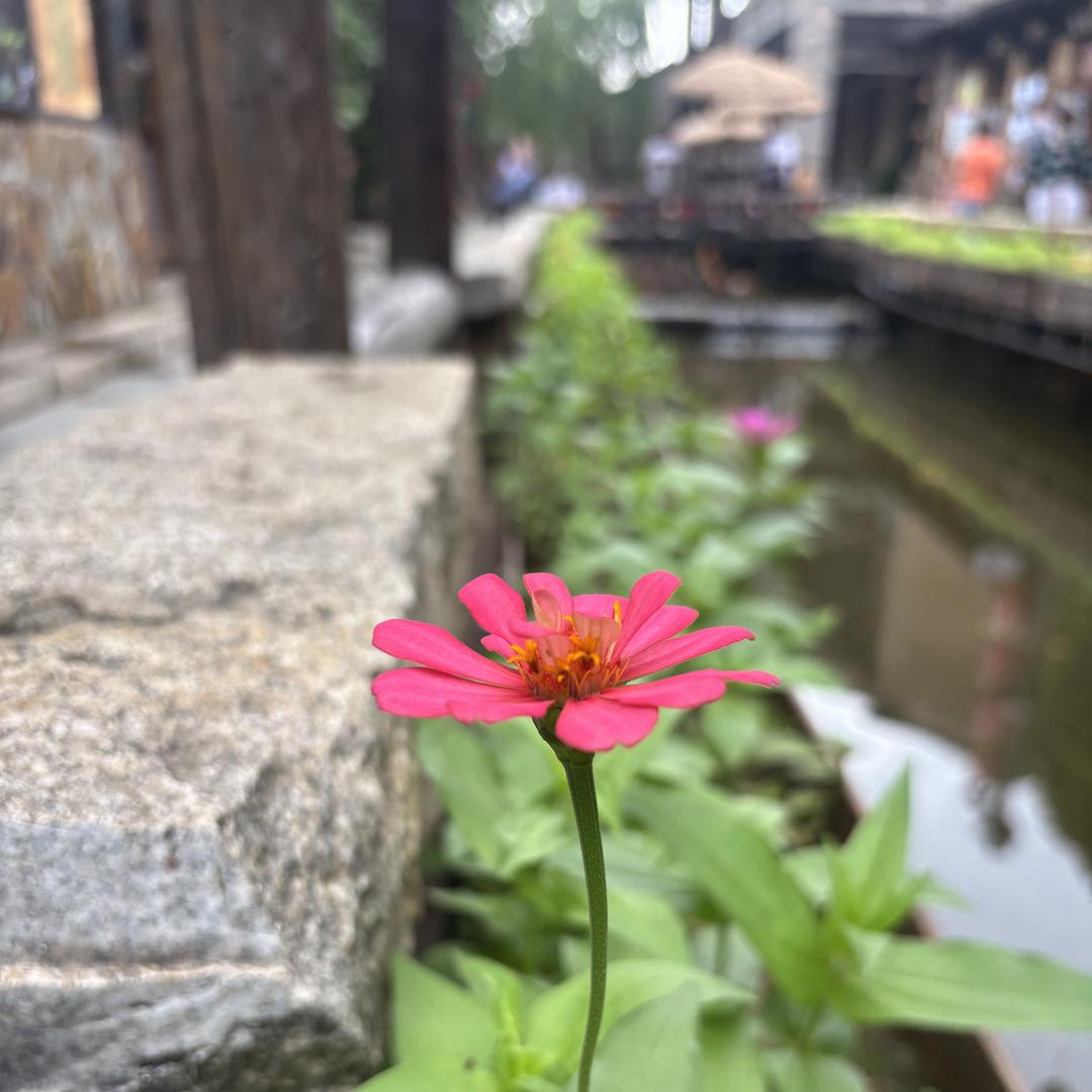 绍兴市柯桥区漾莉服饰经营部