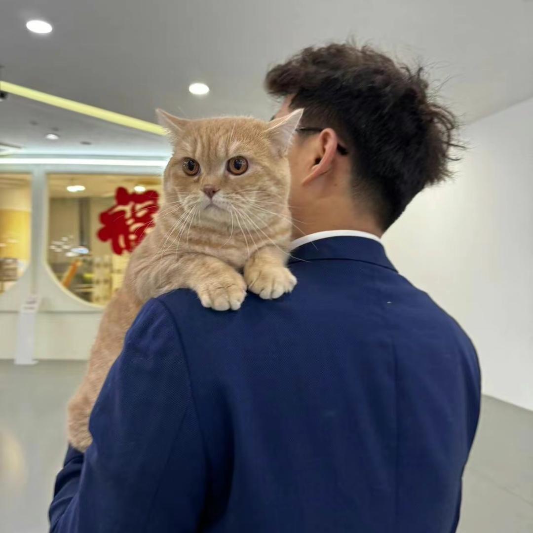 姜Sir要睡觉