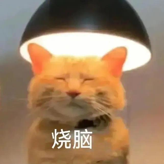 星河长明♘