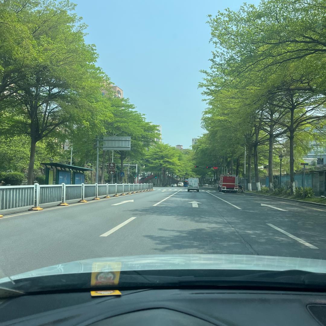 金萍果