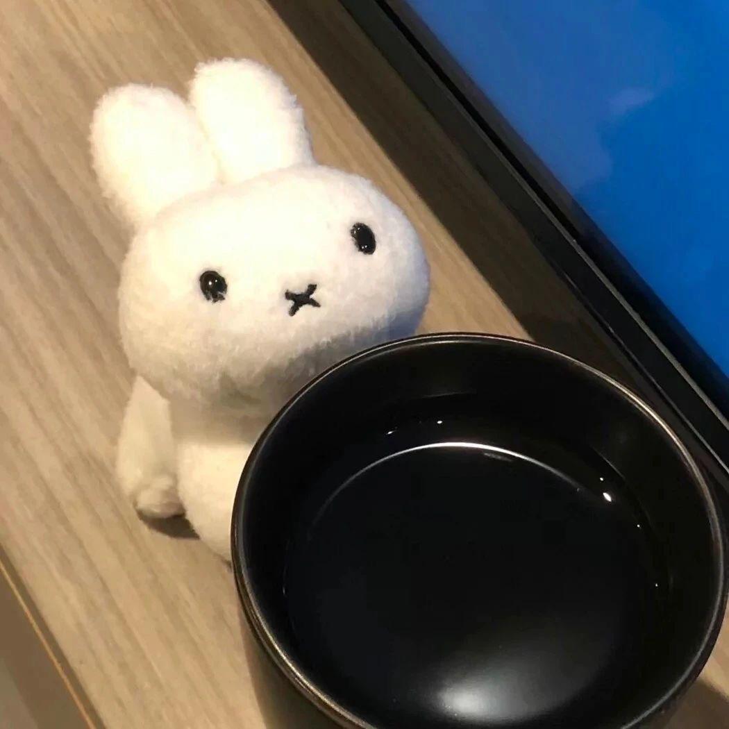 泡泡o