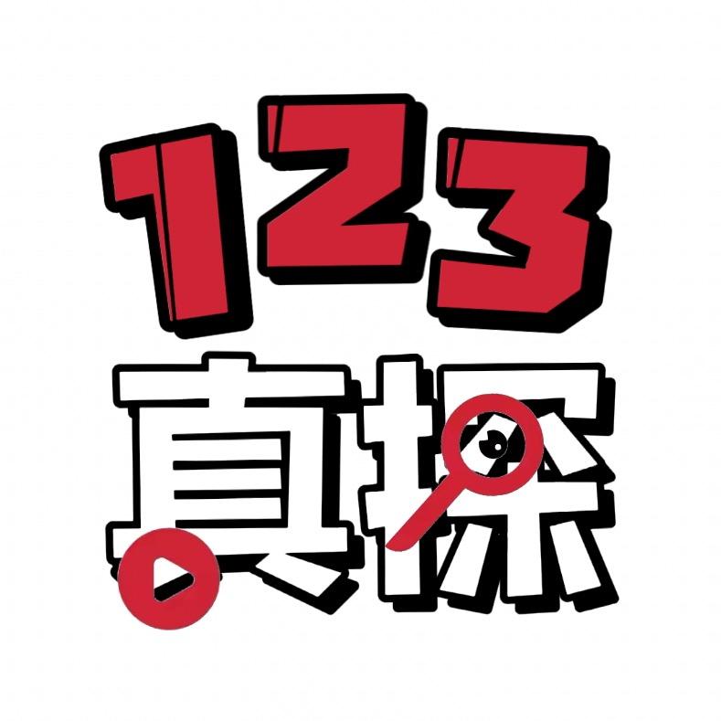 123真探