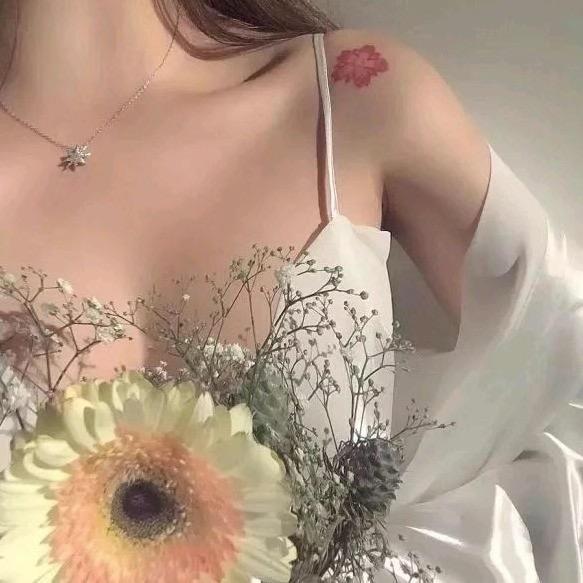 奉节双运租车