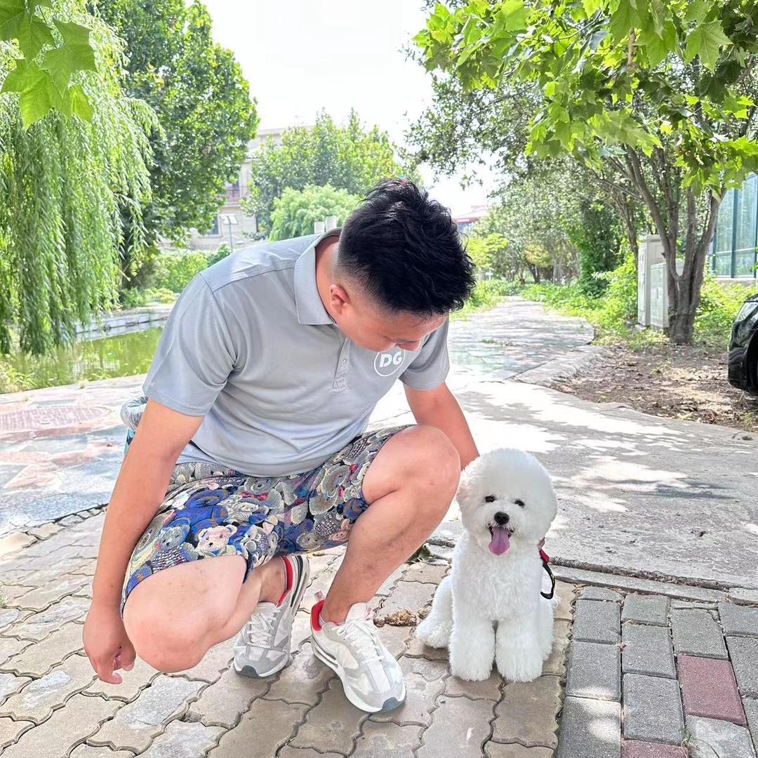 天津大G训犬寄养基地