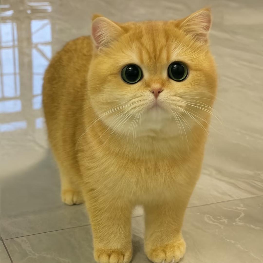 倒影年华（破碎版）