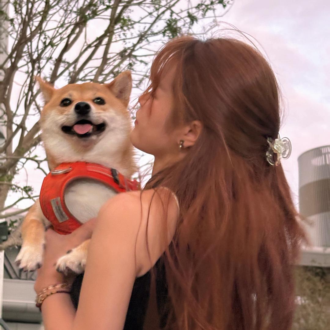 多樂也是dollar🐕